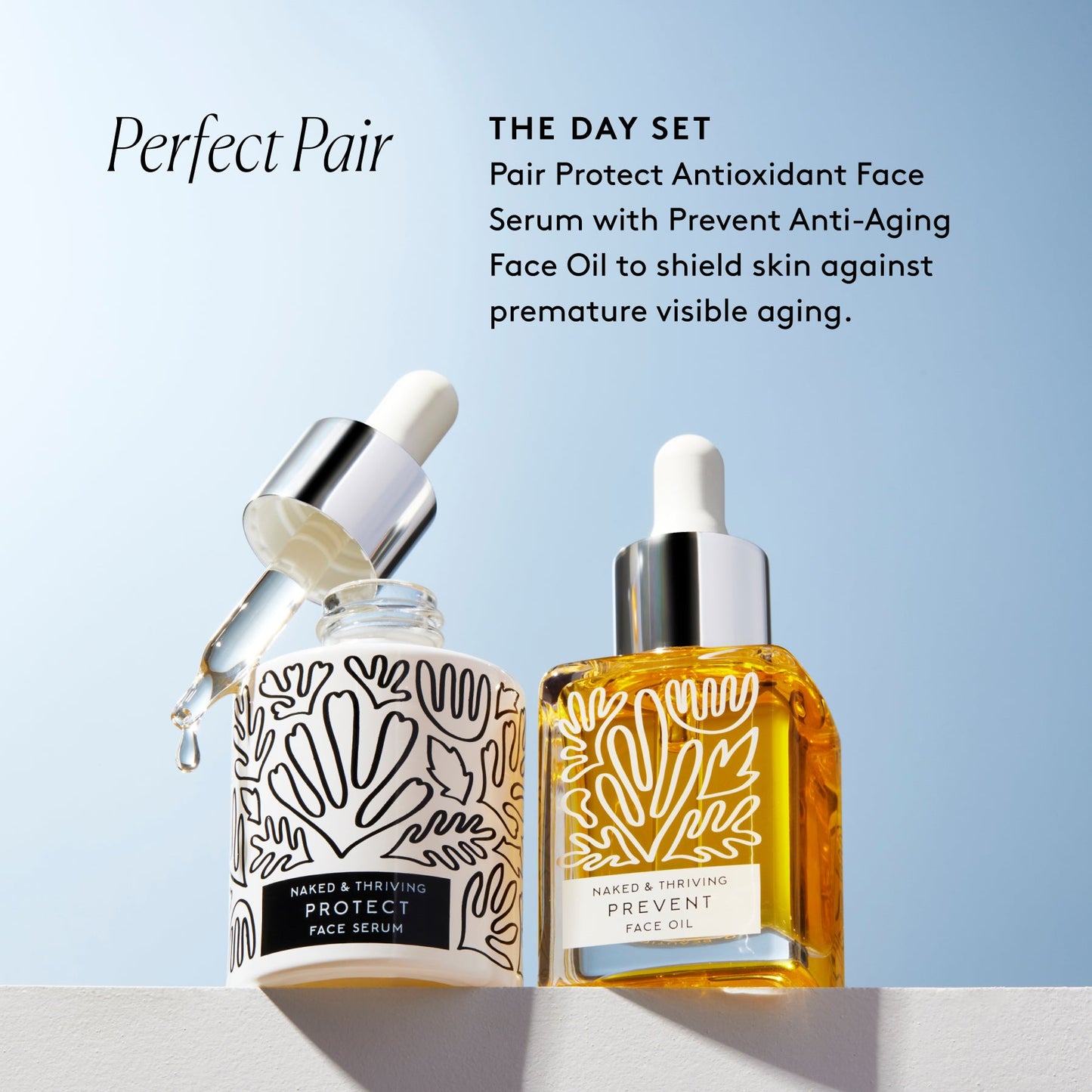 
                
                  Protect Antioxidant Day Serum
                
              