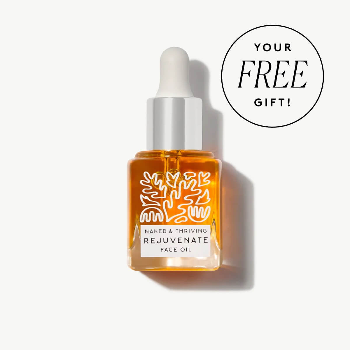 
                
                  Rejuvenate Restorative Face Oil
                
              