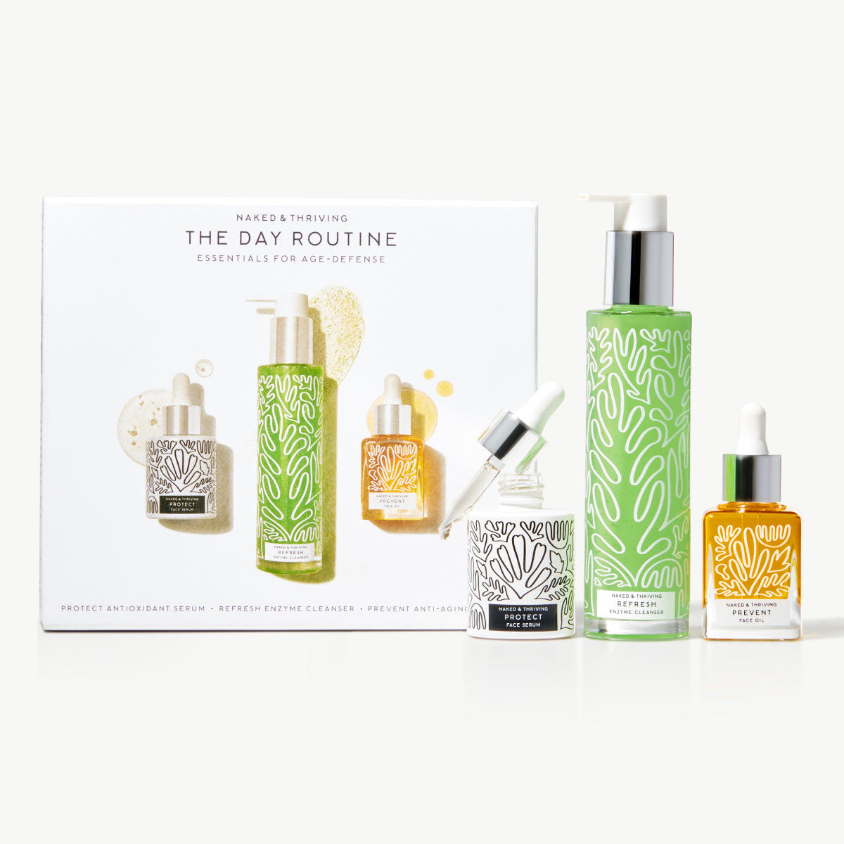 The Day Routine: Refresh, Protect, Prevent