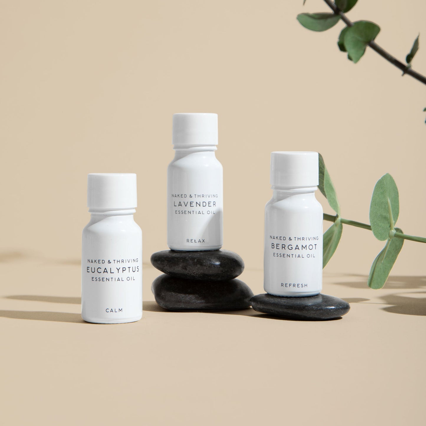 
                
                  Bergamot Essential Oil
                
              