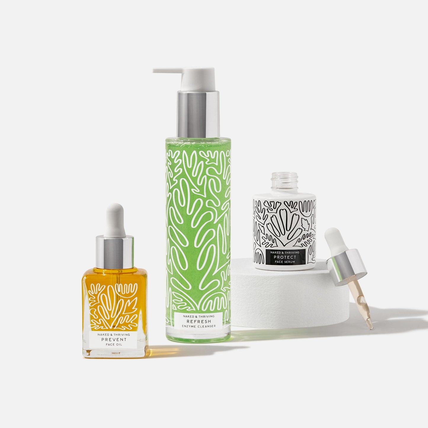 The Day Routine: Refresh, Protect, Prevent