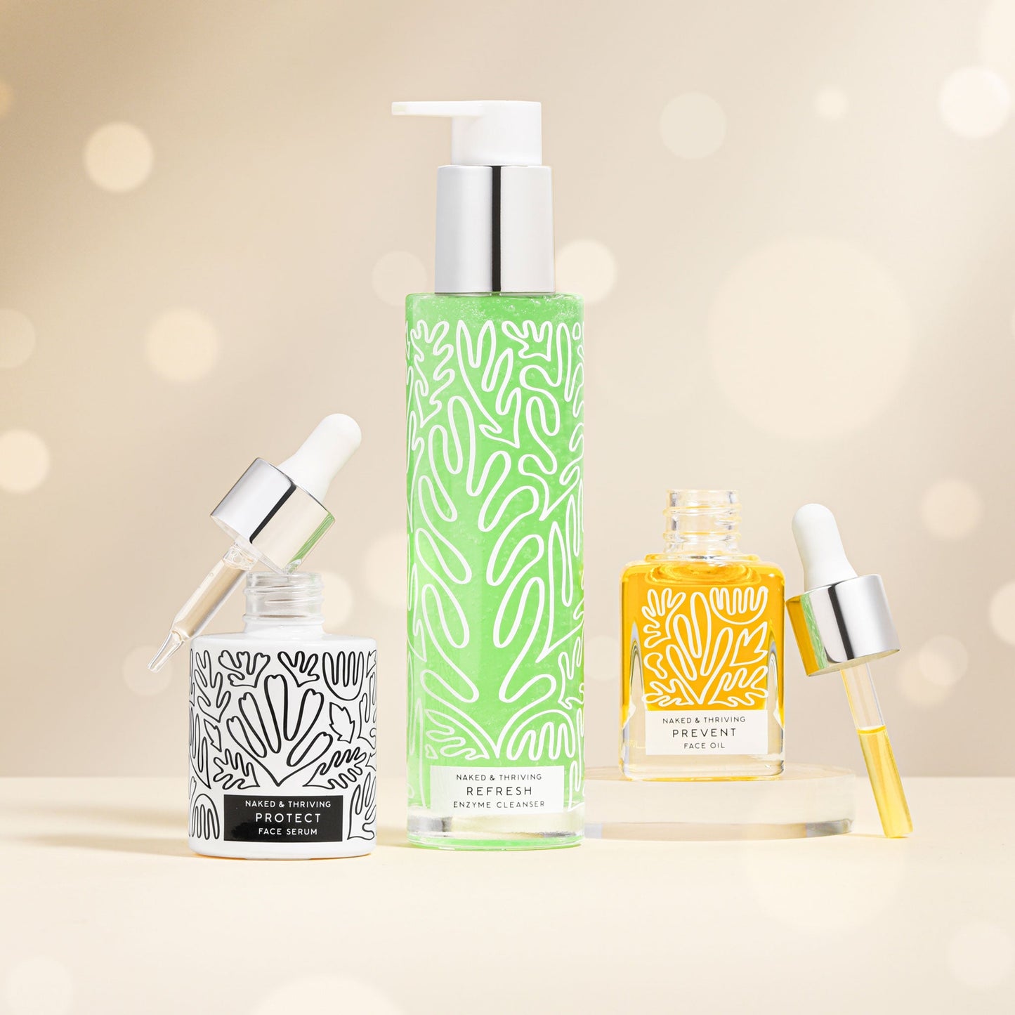 
                
                  The Day Routine: Refresh, Protect, Prevent
                
              