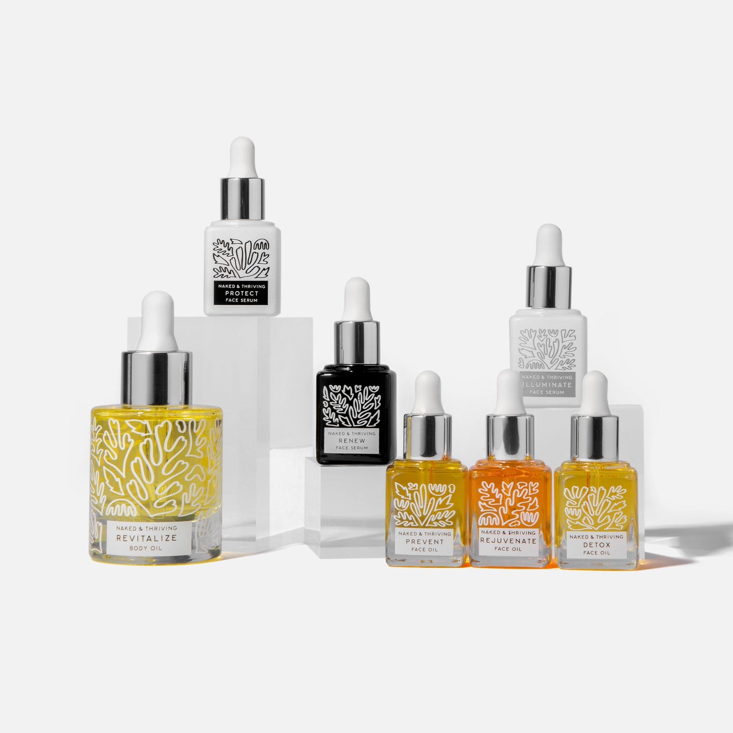 
                
                  The Discovery Set: Limited Edition Gift Set
                
              