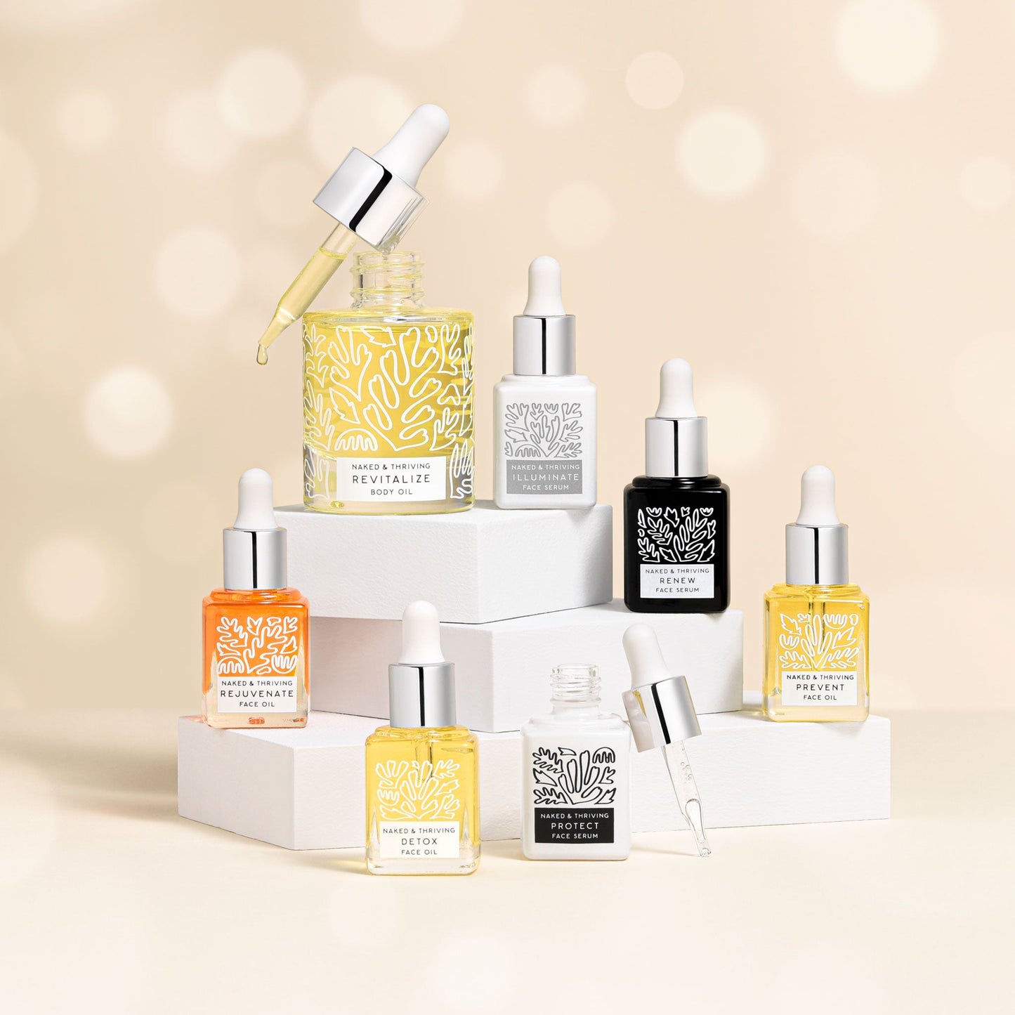 
                
                  The Discovery Set: Limited Edition Gift Set
                
              