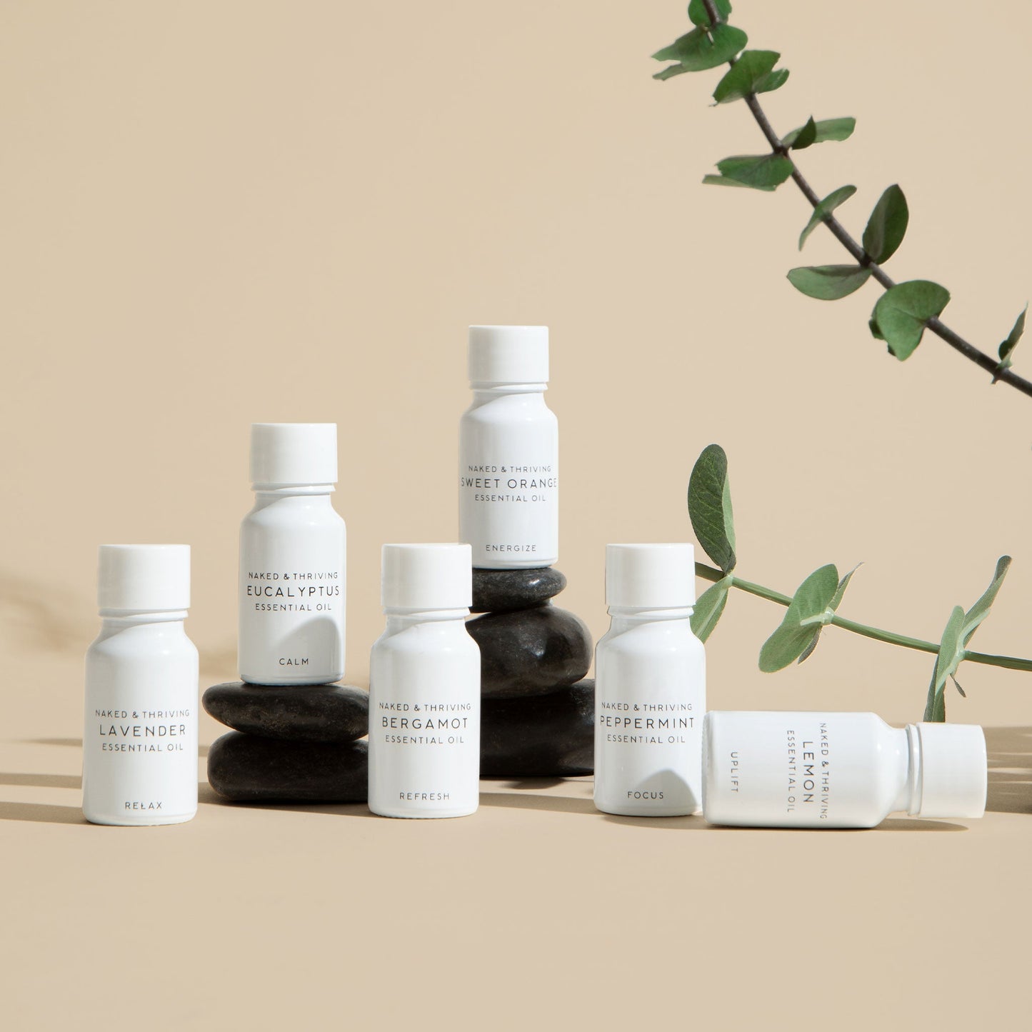 
                
                  Eucalyptus: Organic Essential Oil
                
              