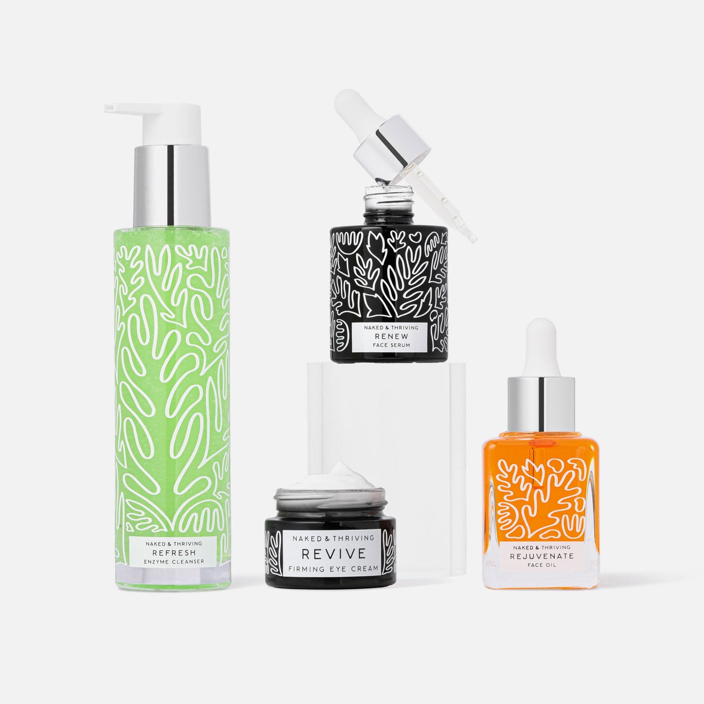 
                
                  The Reset Routine Refresh, Renew:, Revive, Rejuvenate, Renew
                
              