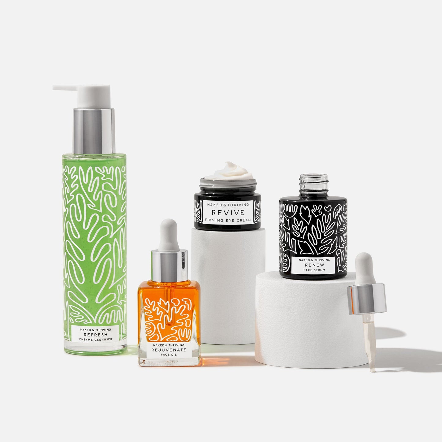 
                
                  The Reset Routine Refresh, Renew:, Revive, Rejuvenate, Renew
                
              
